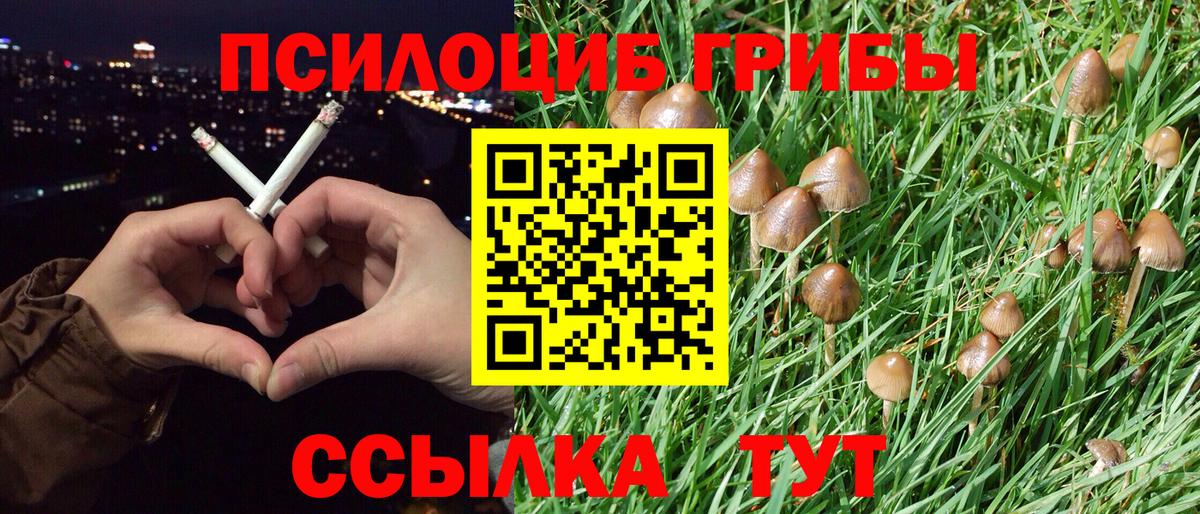 Галлюциногенные грибы мухоморы Кандалакша